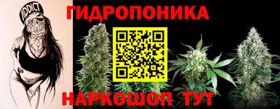 apvp Краснодар
