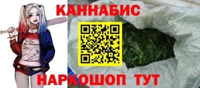 apvp Краснодар