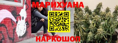 apvp Краснодар