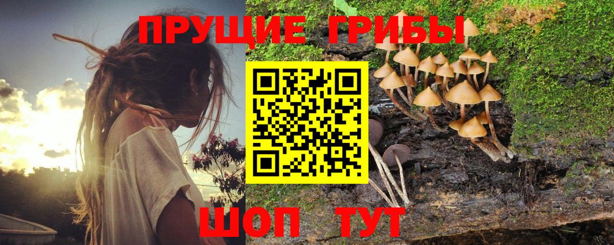 Галлюциногенные грибы мицелий  Галлюциногенные грибы Magic Shrooms  Вход с VPN  Клин 